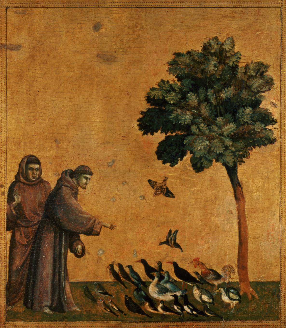 San-Francesco-predica-agli-uccelli-giotto-analisi.jpg