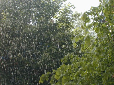 pioggia-alberi-400x300.jpg