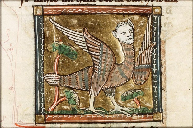 arpia manoscritto medievale.jpg